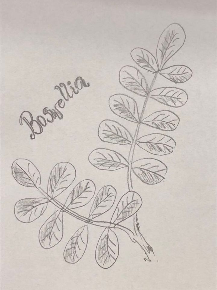 boswellia